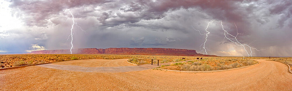 Lightning storm rolling into Vermilion Cliffs National Monument viewed from Dominguez Escalante Historical Trailhead, Arizona, United States of America, North America