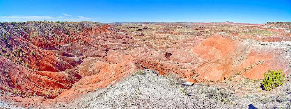 View from Lacey Point in Petrified Forest National Park, Arizona, United States of America, North America