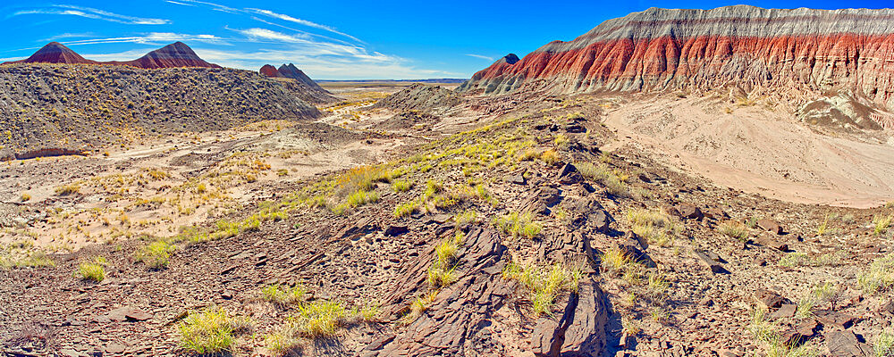 A valley in Petrified Forest National Park, west of the Tepees, Arizona, United States of America, North America