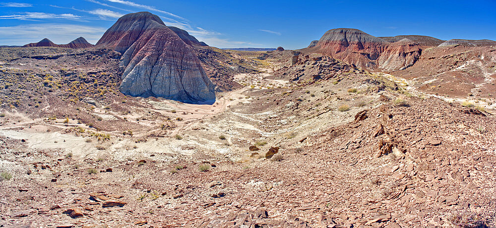 A valley in Petrified Forest National Park, west of the Tepees, Arizona, United States of America, North America