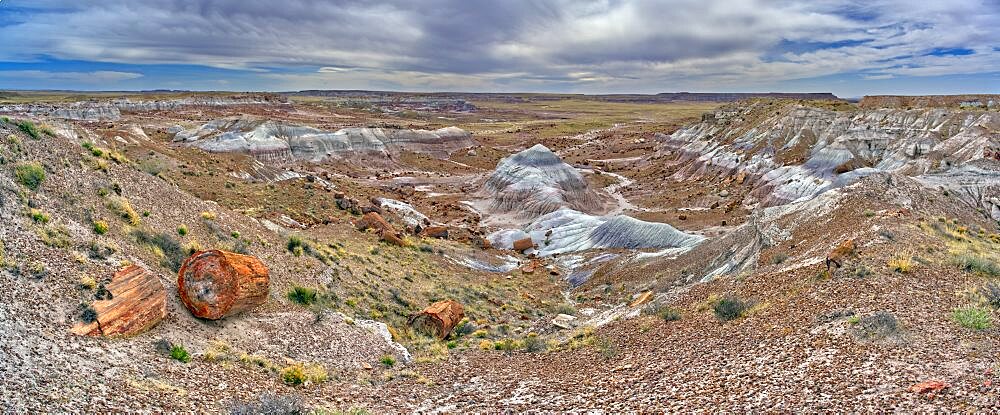 View of Jasper Forest in Petrified Forest National Park Arizona from the southern side of Agate Plateau.