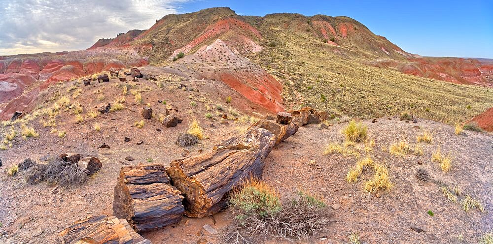 View from below Chinde Point at Petrified Forest National Park Arizona.