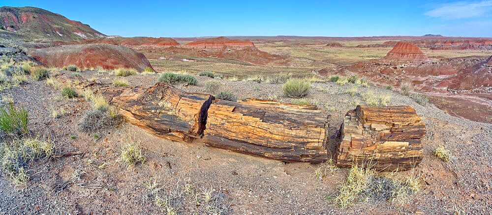 Petrified Log below Chinde Point in Petrified Forest National Park Arizona.