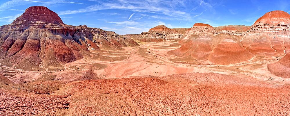 The valley floor of Red Forest at Petrified Forest National Park Arizona.