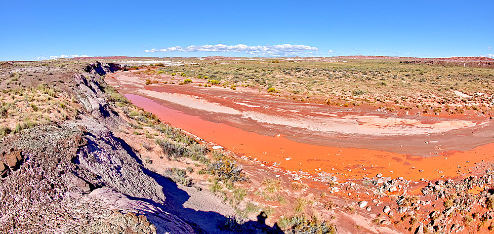 The red water of Lithodendron Wash, red from bentonite clay, in Petrified Forest National Park, Arizona, United States of America, North America