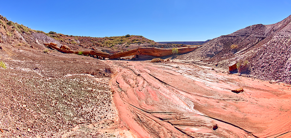 Onyx Bridge at Petrified Forest National Park, Arizona, United States of America, North America