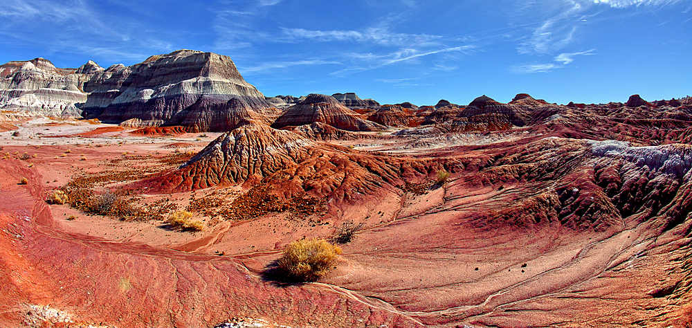 The red bentonite hills of the Red Basin in Petrified Forest National Park Arizona.