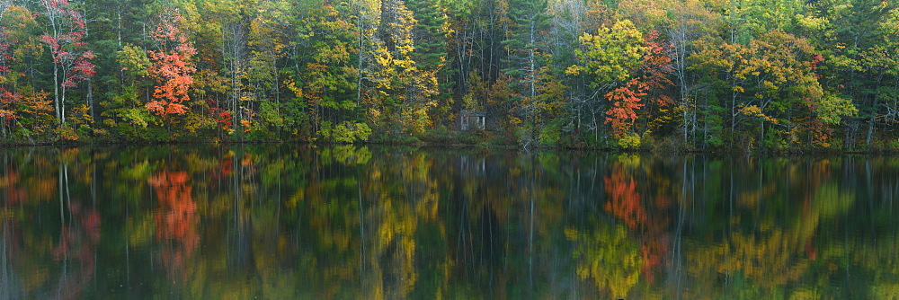 Fall foliage reflected in lake, Maine, New England, United States of America, North America