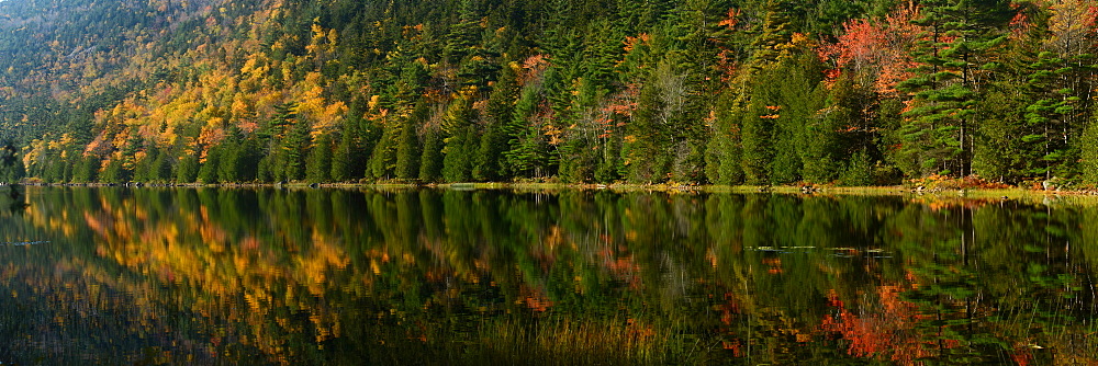 Fall foliage reflected in lake, Maine, New England, United States of America, North America