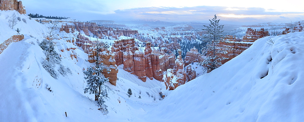 Bryce Canyon from Sunset Point, Bryce Canyon National Park, Utah, United States of America, North America