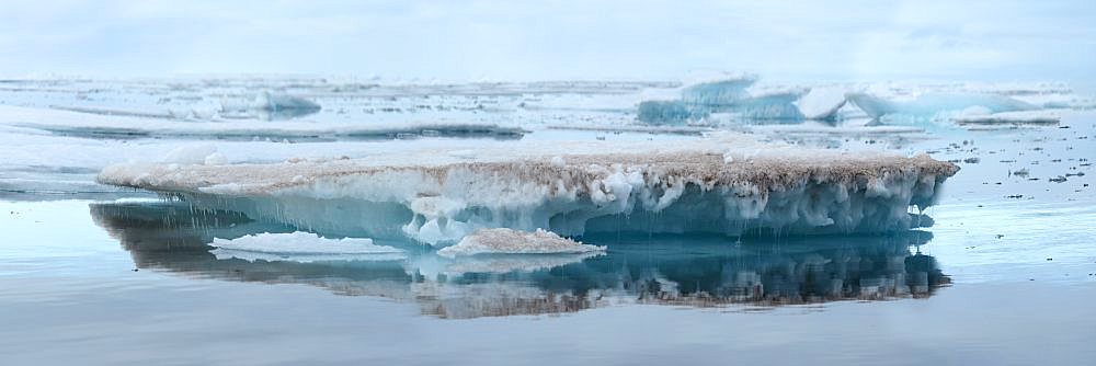 Melting sea ice