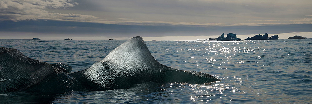 Icebergs, Nunavut and Northwest Territories, Canada, North America