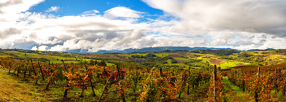 Hills and vineyards of Oltre Po Pavese in autumn season, Northern Apennines, Pavia, Lombardy, Italy, Europe