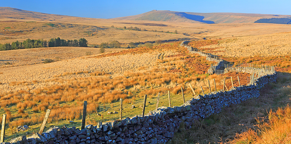Brecon Beacons, Powys, South Wales