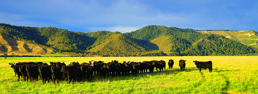 South Island, New Zealand in autumn