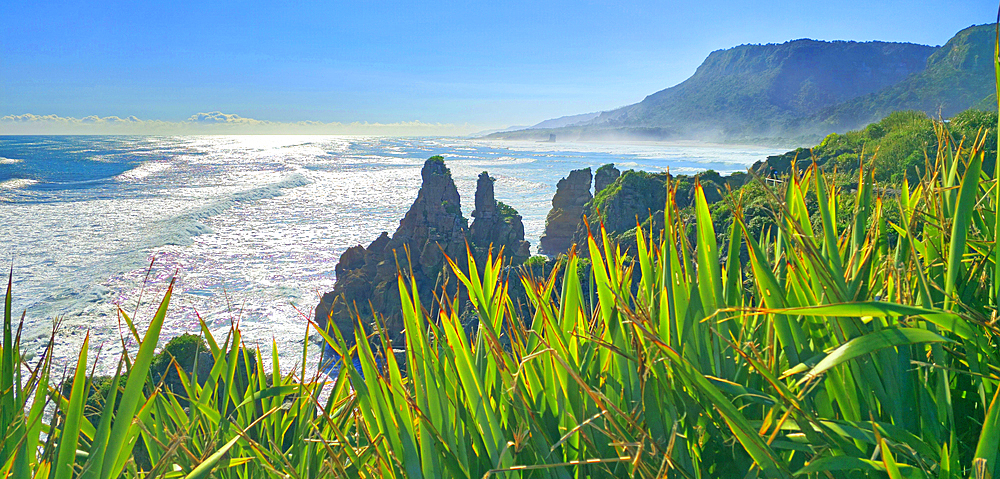 Great Coast Road, West Coast, South Island, New Zealand