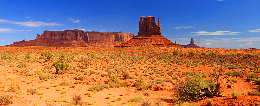 Monument Valley, Navajo Indian Territory/ Utah, USA