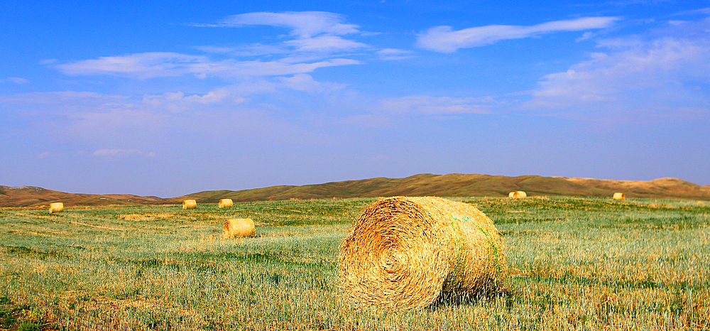 Hay Bales, Southern Alberta, Canada