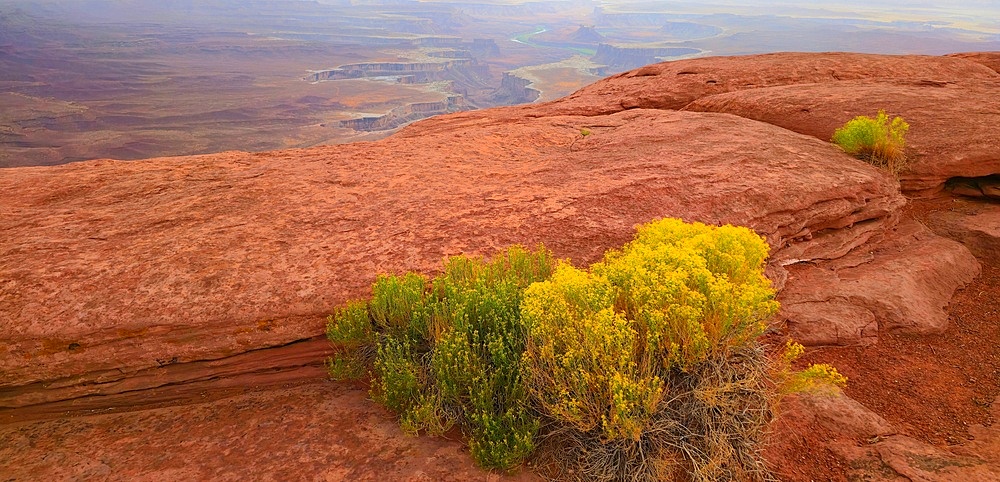Canyonlands National Park, Utah, USA