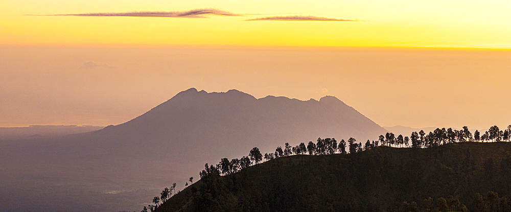 Foggy sunrise over silhouettes of trees on top of a mountain with volcano on background, Banyuwangi, East Java, Indonesia