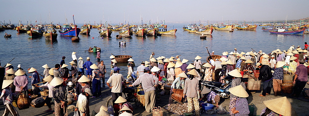 People from fishing village collecting the morning catch from fishing boat fleet, Mui Ne, south-central coast, Vietnam, Indochina, Southeast Asia, Asia