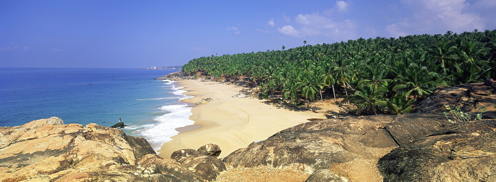 Coconut palms and beach, Kovalam, Kerala state, India, Asia