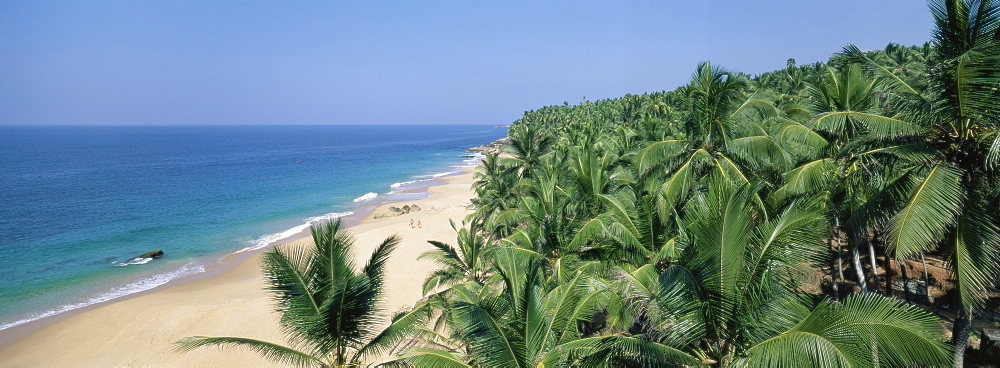 Coconut palms and beach, Kovalam, Kerala state, India, Asia