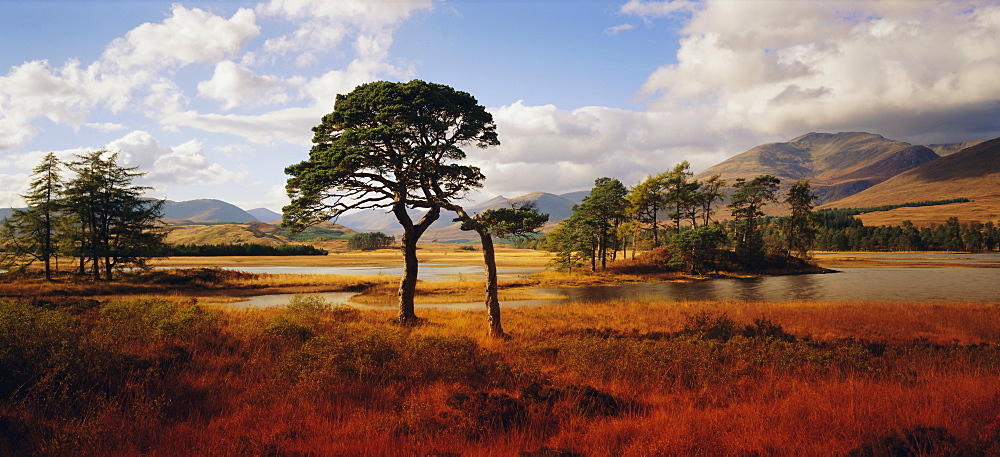 Loch Tulla, Western Highlands, Highlands Region, Scotland, UK, Europe