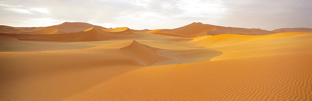 Sand dunes and dune sea, Sossusvlei, Namib Naukluft Park, Namibia