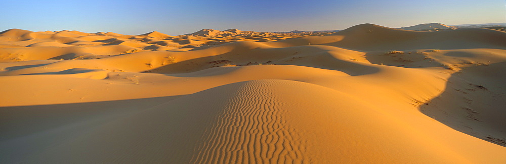 View across sand dunes of the Erg Chebbi, Sahara Desert near Merzouga, Morocco