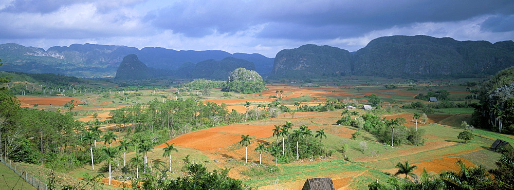 View over Vinales valley towards tobacco plantations and Mogotes, from Hotel Los Jasmines, Vinales, Pinar Del Rio province, Cuba, West Indies, Central America