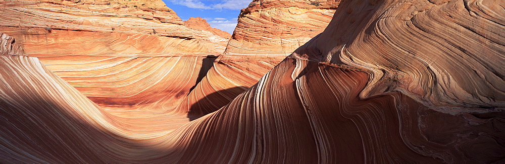 Sandstone Wave, Paria Canyon, Vermillion Cliffs Wilderness, Arizona, United States of America (U.S.A.), North America