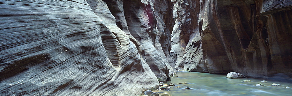 Virgin River flowing through the Virgin Narrows, Zion National Park, Utah, United States of America, North America