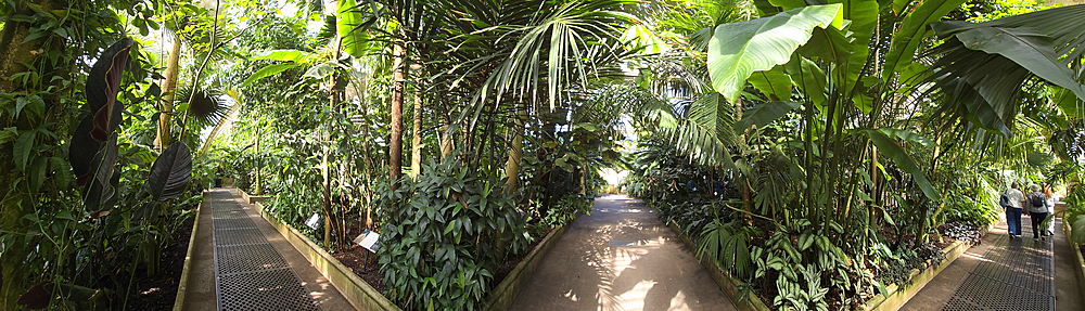 Palm House, Kew Gardens