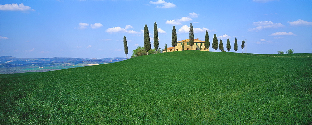 House Surrounded by Trees on Top of a Hill in the Pienza Countryside, Tuscany, Italy