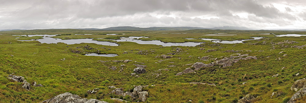 Bog land, off the Bog Road between Clifden and Roundstone, Connemara, County Galway, Connacht, Republic of Ireland, Europe