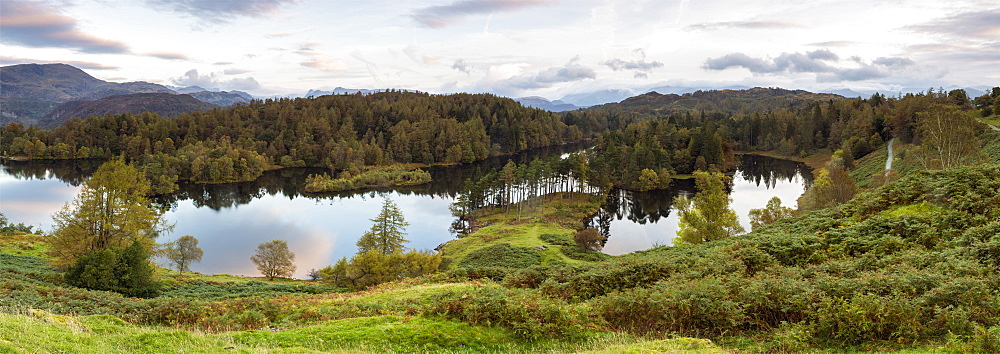 Tarn Hows near Hawkshead, Lake District National Park, UNESCO World Heritage Site, Cumbria, England, United Kingdom, Europe