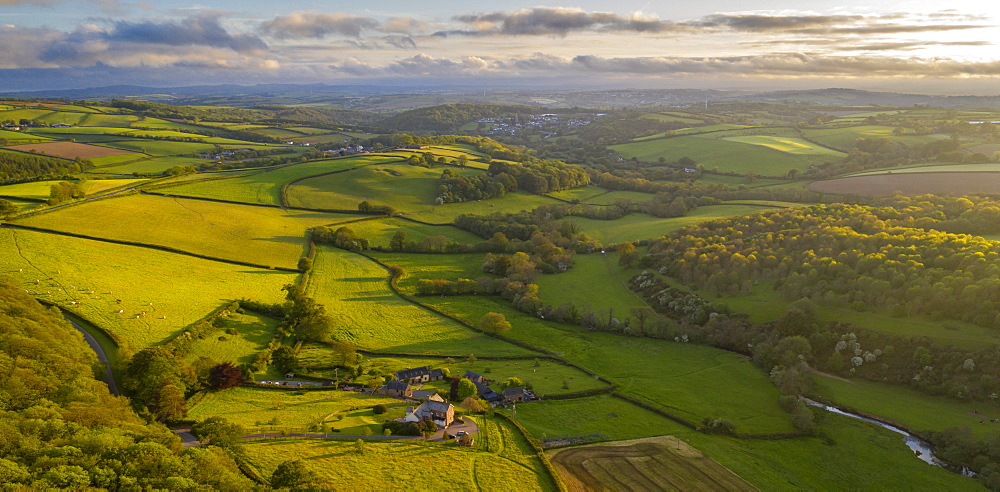 Aerial view by drone of rolling countryside near Lifton, Devon, England, United Kingdom, Europe