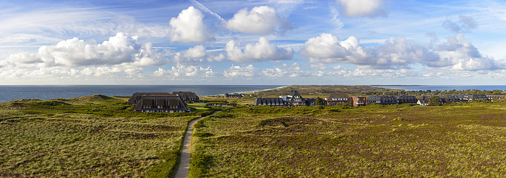 Heather and sand dunes, Kampen, Sylt, Schleswig Holstein, Germany, Europe