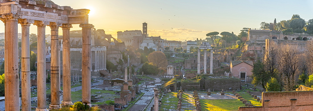 Forum at sunrise, UNESCO World Heritage Site, Rome, Lazio, Italy, Europe