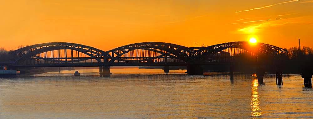 Freeport Elbe Bridge, steel bridge over the Elbe at sunset, Hamburg, Germany, Europe