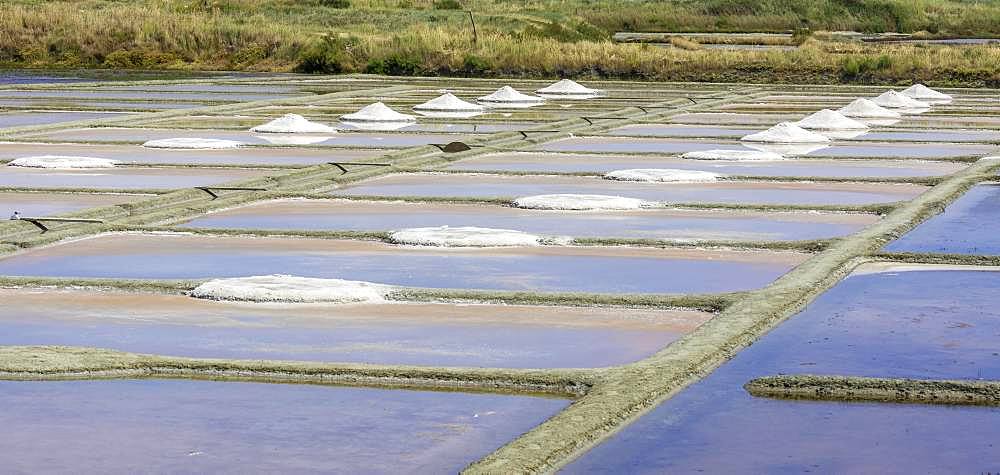 Saltworks, Salines de Guerande, Guerande, Loire-Atlantique Department, France, Europe