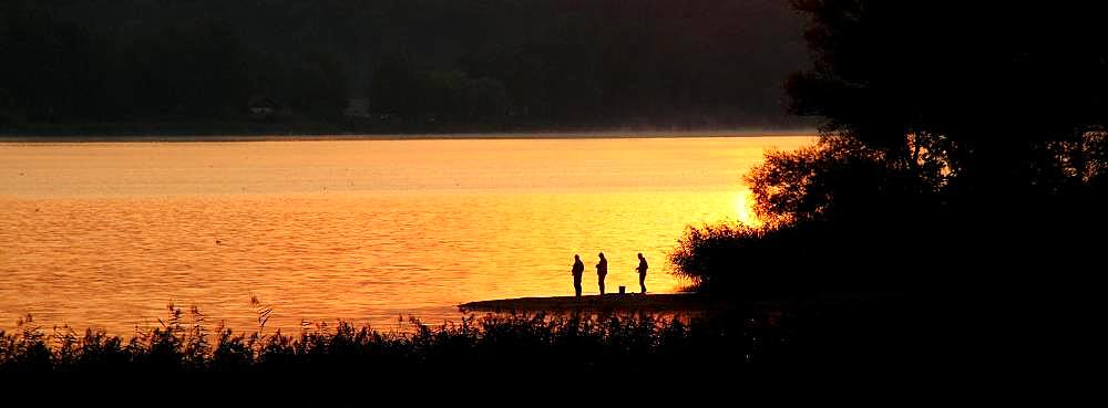 Angler in the dawn, Waginger See, Upper Bavaria, Bavaria, Germany, Europe