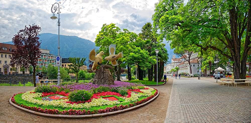 Natural Monument Horse Chestnut, Passer Promenade, Merano, Trentino-Alto Adige, Italy, Europe