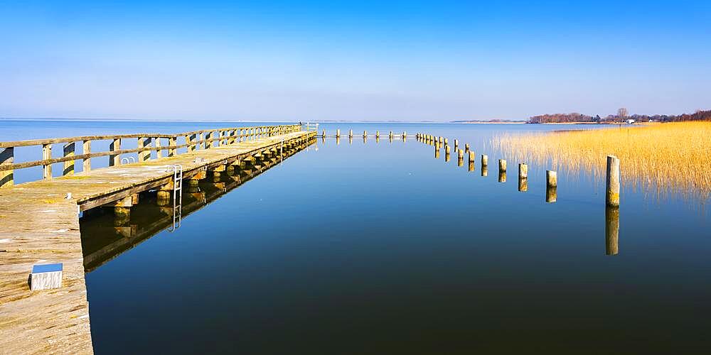 Old jetty, wooden jetty on the Bodstedt Bodden, Vorpommersche Boddenlandschaft National Park, Mecklenburg-Western Pomerania, Germany, Europe