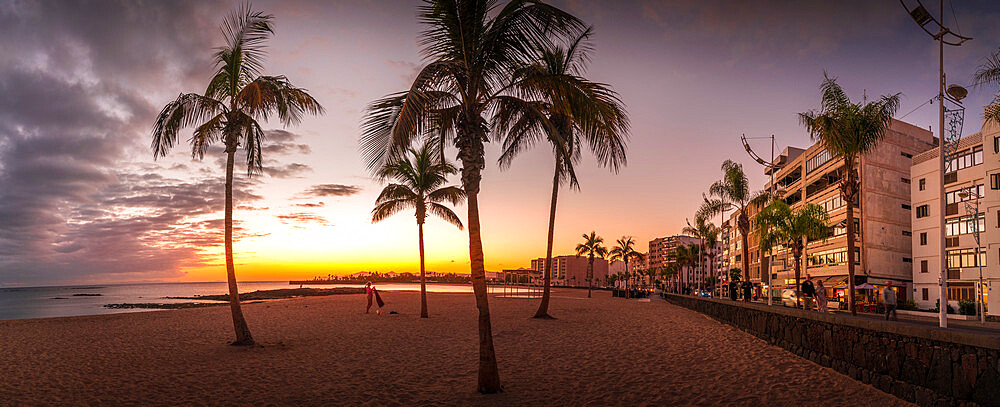 View of palm trees on Playa del Reducto at sunset, Arrecife, Lanzarote, Canary Islands, Spain, Atlantic, Europe