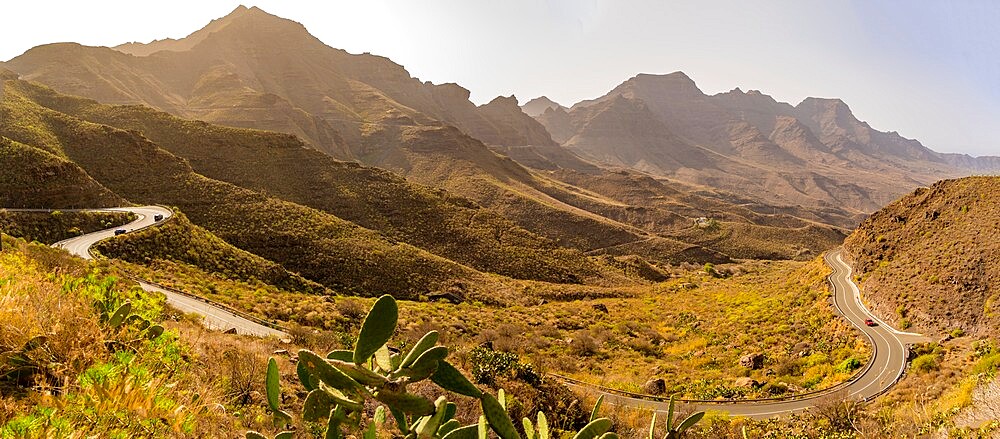 View of road and flora in mountainous landscape near Tasarte, Gran Canaria, Canary Islands, Spain, Atlantic, Europe