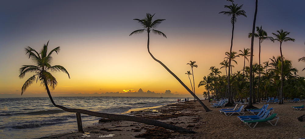 View of sea, beach and palm trees at sunrise, Bavaro Beach, Punta Cana, Dominican Republic, West Indies, Caribbean, Central America