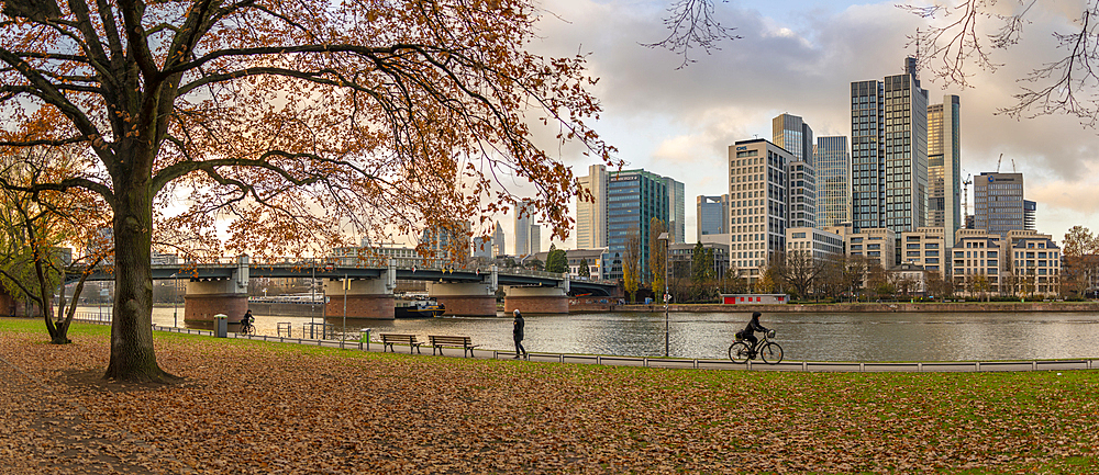 View of city skyline and River Main at sunset, Frankfurt am Main, Hesse, Germany, Europe