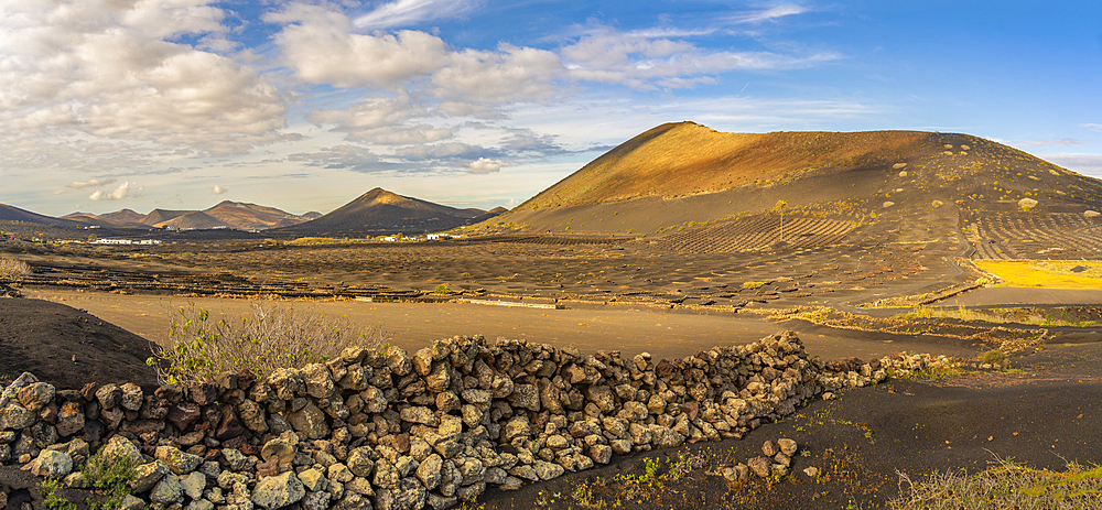 View of volcanic landscape and vineyards near La Geria, La Geria, Lanzarote, Las Palmas, Canary Islands, Spain, Atlantic, Europe